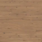 Oak Belem