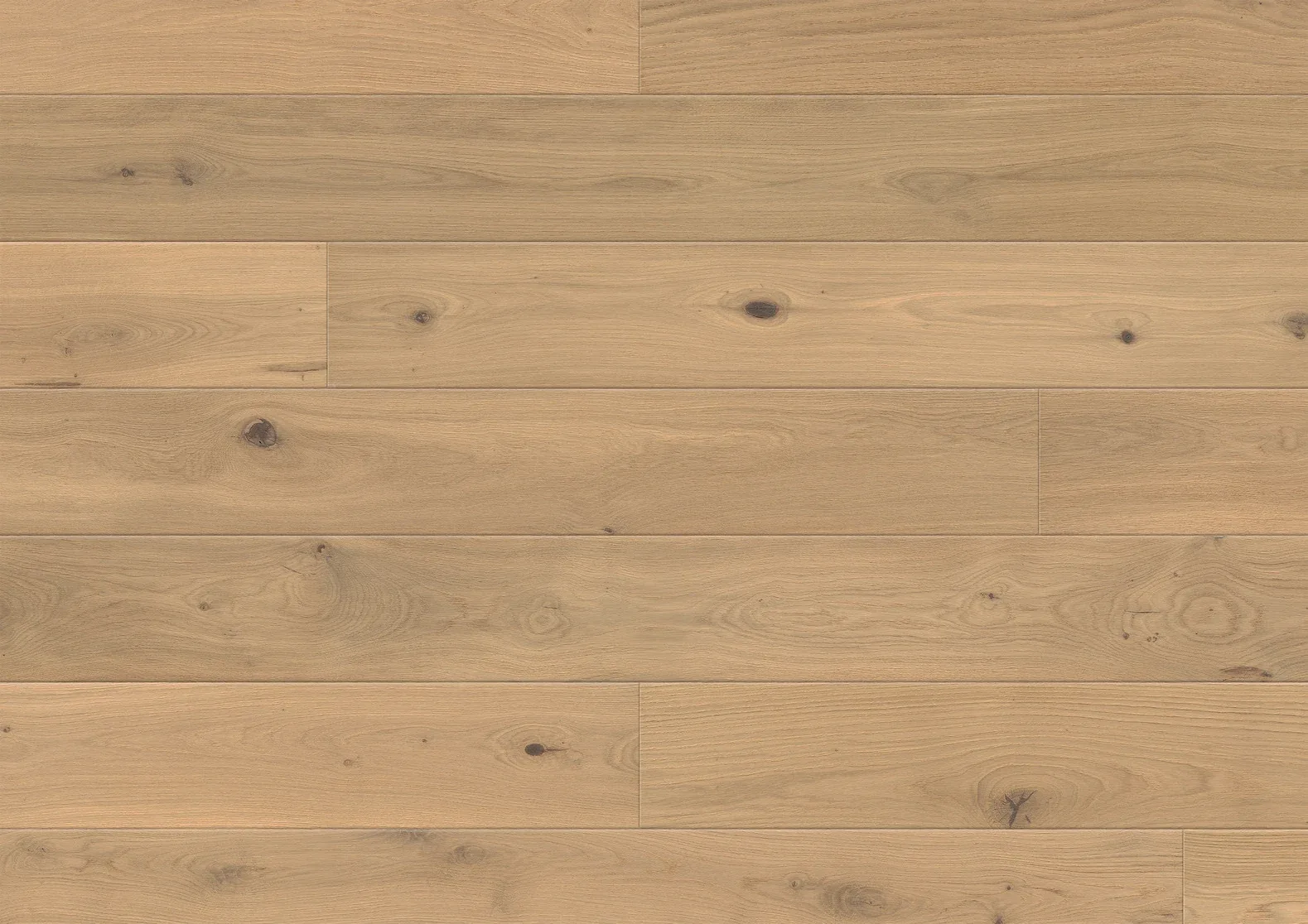 1101312645_FP_Eiche-Menton_OF-Plan_V01 Oak Menton - slika 1